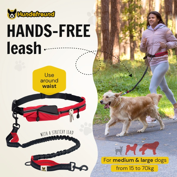 Dog Leash photo 2
