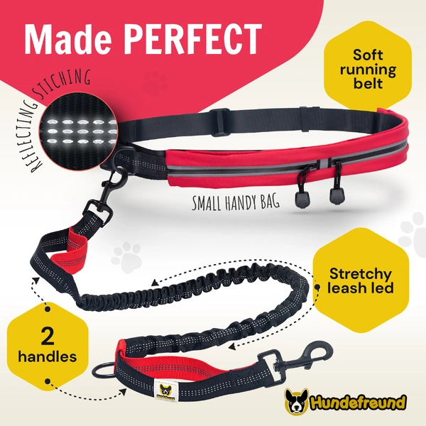 Dog Leash photo 4
