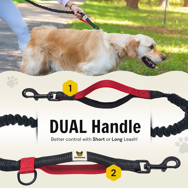 Dog Leash photo 5