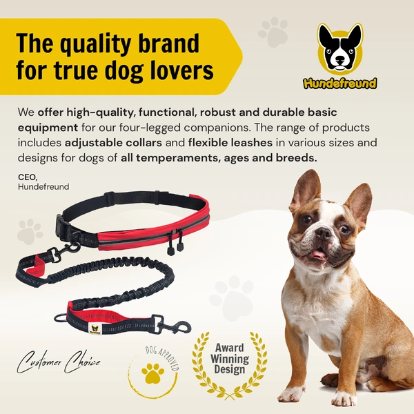 Dog Leash photo 8