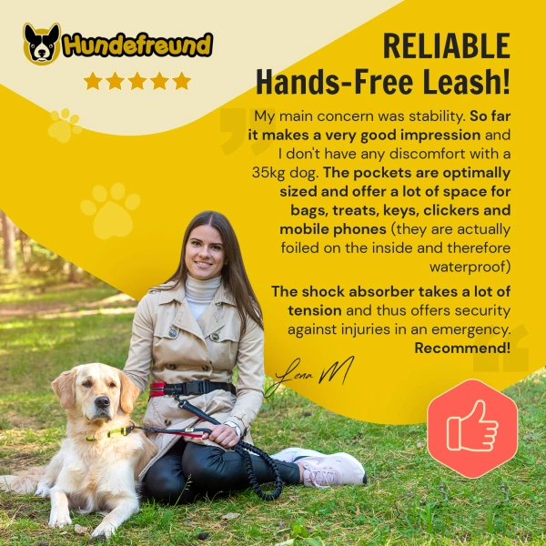 Dog Leash photo 9