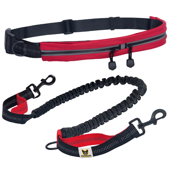 Dog Leash photo 1