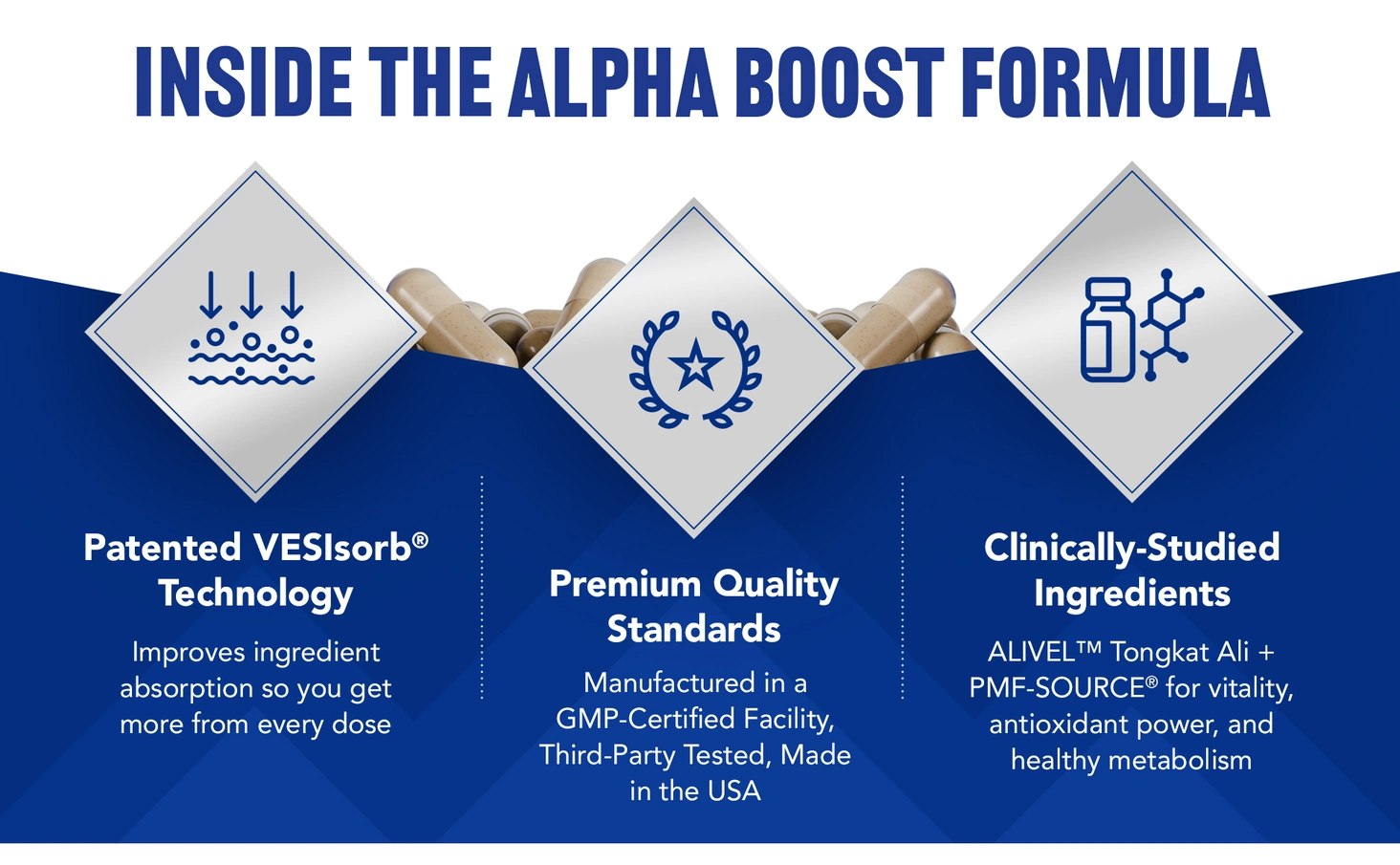 Alpha Boost photo 12