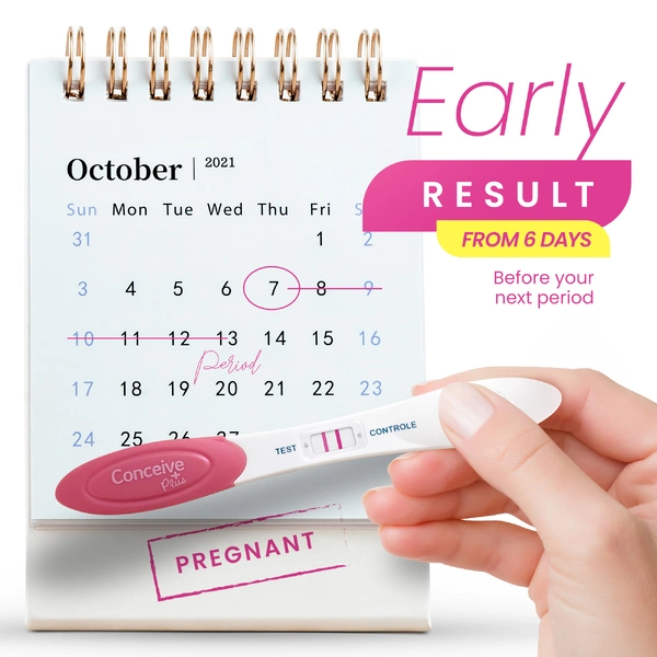Pregnancy Test photo 3