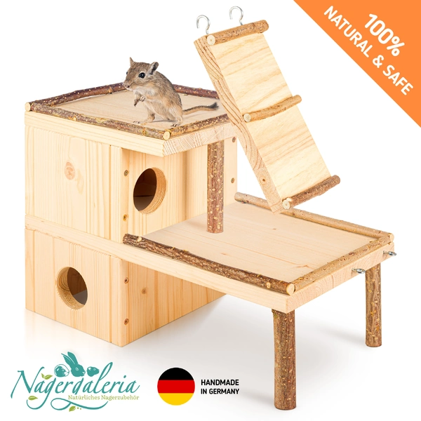Rodent House photo 1