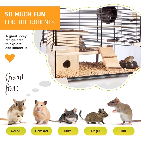 Rodent House photo 5