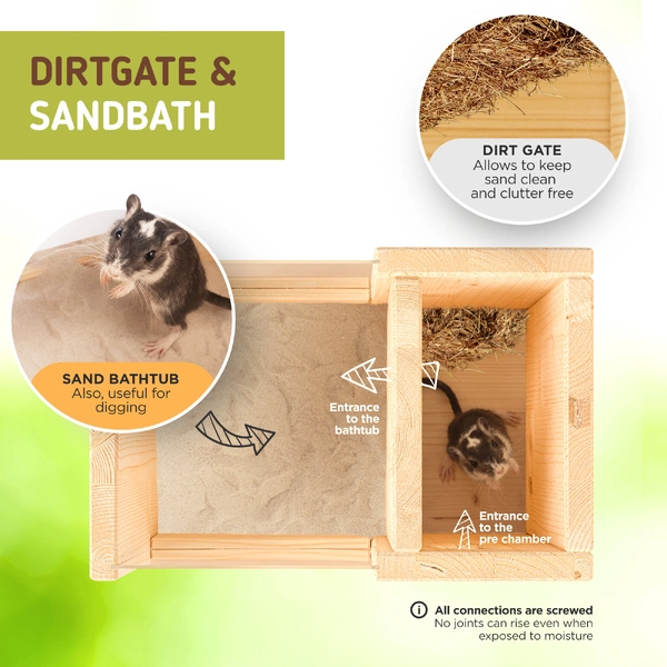 Sand Bath photo 3