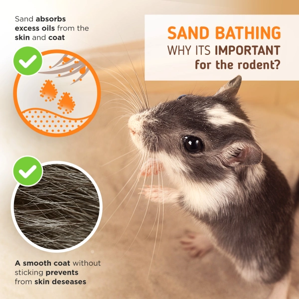 Sand Bath photo 4