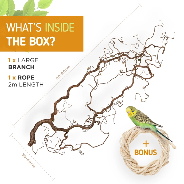 Bird Branches photo 7